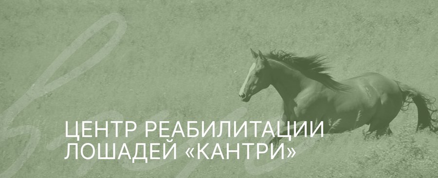 Айденика для реалибитационного центра лошадей