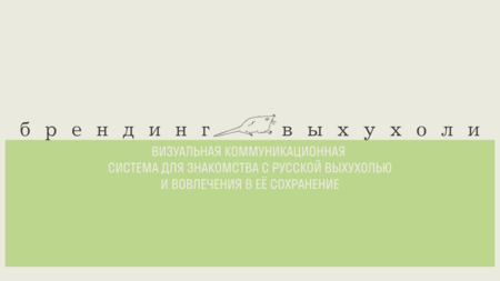 Визуальная коммуникационная система для знакомства с&nbsp;русской выхухолью и&nbsp;вовлечения в&nbsp;её&nbsp;сохранение