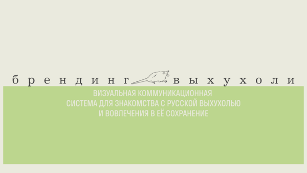 Визуальная коммуникационная  система для знакомства с русской выхухолью и вовлечения в её сохранение