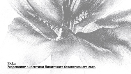 Ребрендинг Никитского ботанического сада