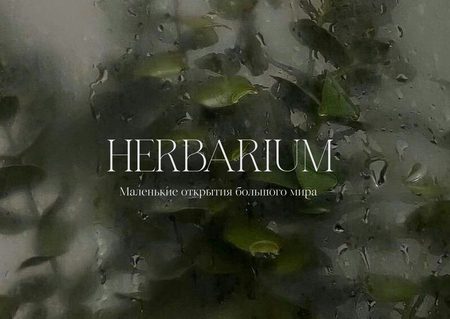 HERBARIUM HERBARIUM