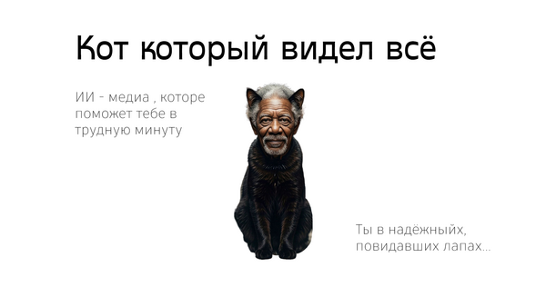 Кот который видел&nbsp;всё. Контент план.