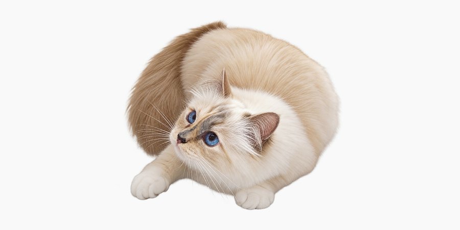 big