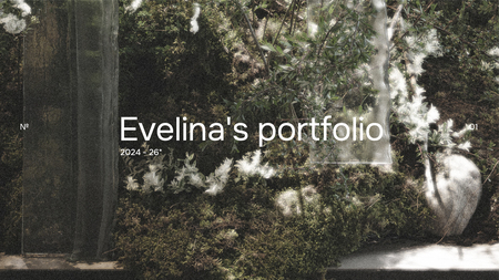 Evelina’s portfolio 2024-26 Evelina’s portfolio 2024-26