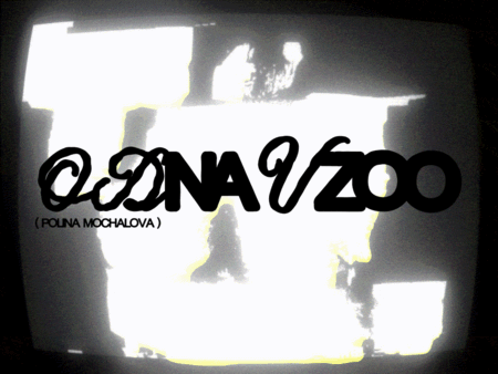 (ODNAVZOO) PORTFOLIO (ODNAVZOO) PORTFOLIO