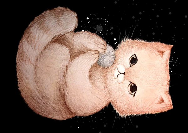 Отношения людей и кошек через призму времени