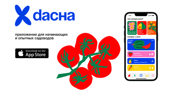 DACHA