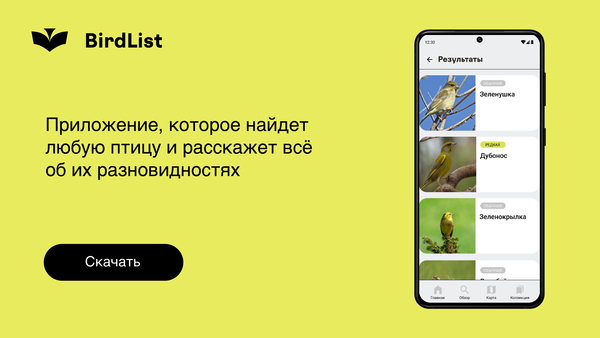 BirdList — приложение-определитель птиц