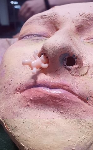 Выставка "Жизнь после жизни". Леттеринг. Заявки на дипломный проект