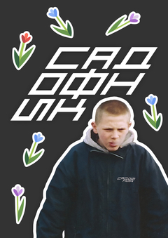 Садофники