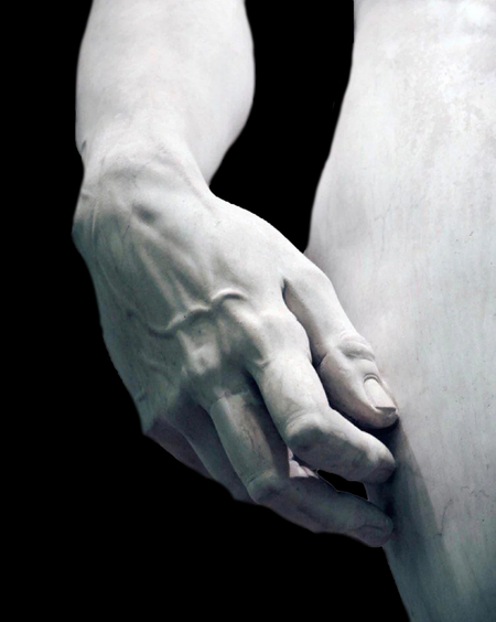 Anatomy in marble: the study of the human figure in Michelangelo's art
