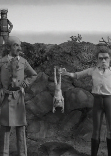 V. Человек — угроза для природы