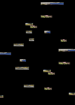 День путешественника во времени 
(и еще 8 праздников)