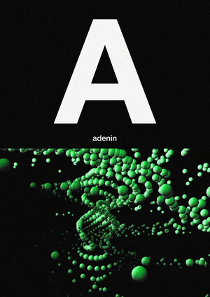 День ДНК и ещё 8 праздников