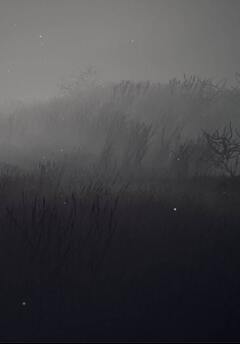 Lostness