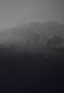 Lostness