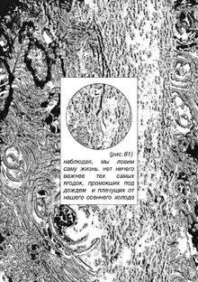 (рис.1)