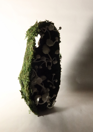 Душа матёшки