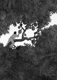 II. Гармония между человеком и природой