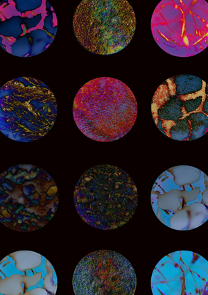 День карманных вселенных и еще 8 праздников