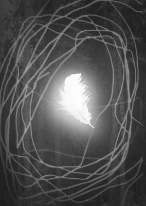 Liminal Bird