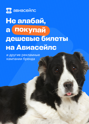 Анализ маркетинга Авиасейлс