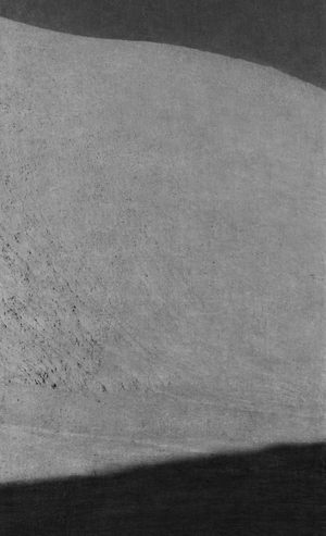 Парадоксальная тревожность или умиротворение? Пейзажная фотография 20-21 в.