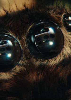 Анализ рекламного ролика «Love Has No Boundaries» от Samsung 