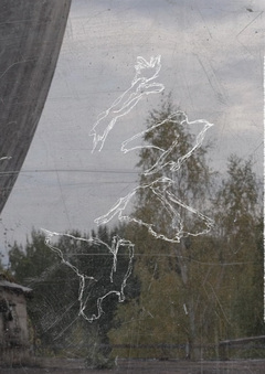 я не буду говорить о птицах