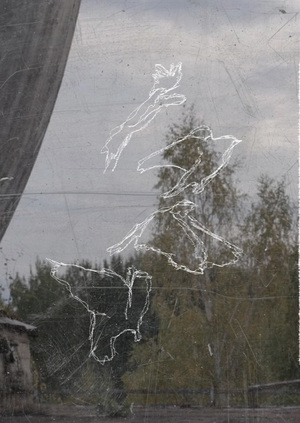 я не буду говорить о птицах