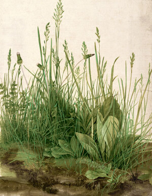 Природа в искусстве ренессанса