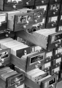 Заключение