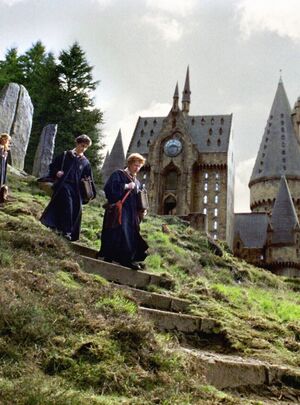 Анализ спецэффектов окружения в серии фильмов «Гарри Поттер»