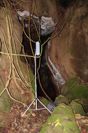 Человек и природа в саунд-арте