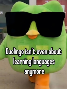 Рекламные методы Duolingo и&nbsp;способы их&nbsp;воздействия на&nbsp;эмоции потребителя