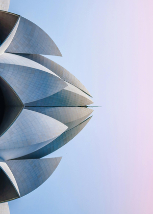 Эволюция живого в архитектуре