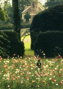 Заключение