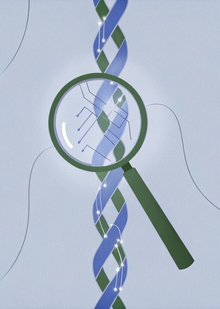 Заключение