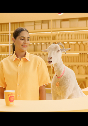 Yellow Goat Coffee