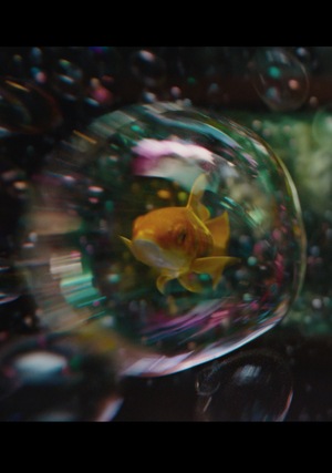 FCIO Bubbles