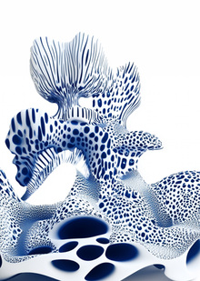 BIOMORPH