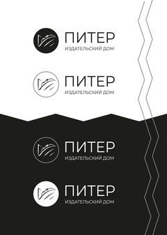 Разработка фирменного стиля ИД "Питер" | YD 22