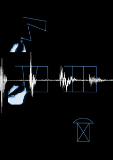 Софт и Веб-Проекты