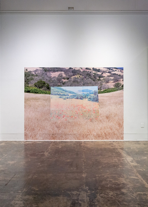 Осенний лес