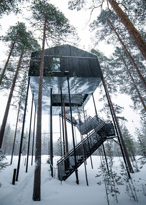 Tree Hotel