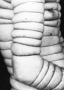 ЗАКЛЮЧЕНИЕ