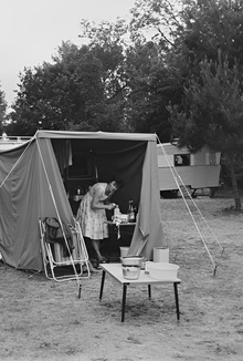 Виды дикого отдыха на воде