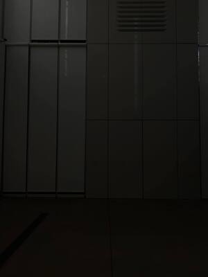 Проект Октябрь