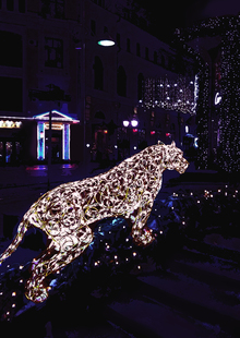 5. Световые инсталляции