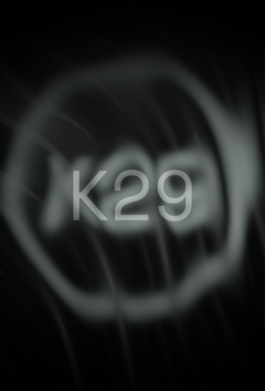 K29